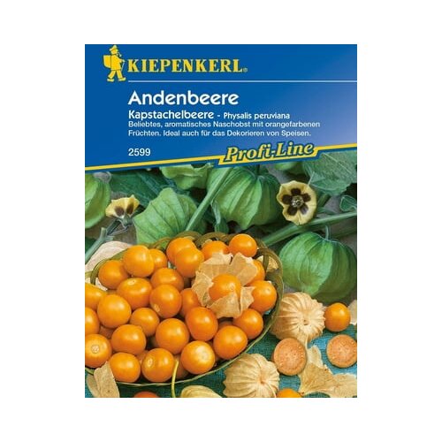 KIEPENKERL Andska jagoda Slike