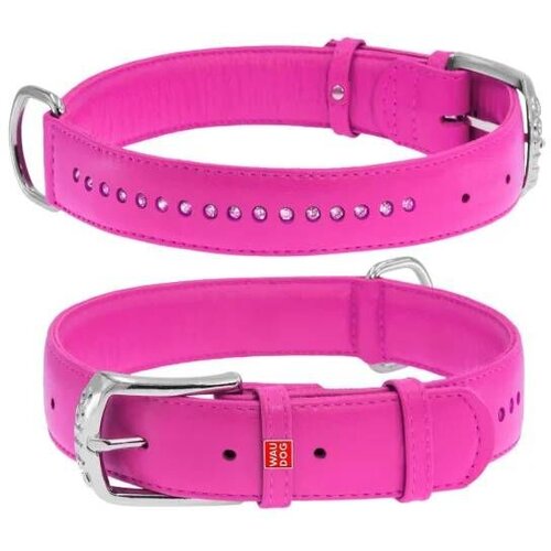 CLR WD Roze A2202576-Ogrlica za pse 27–36 cm Cene