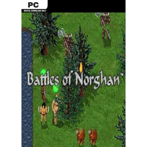Steam Battles of Norghan (PC) Key GLOBAL Cene