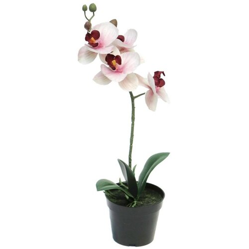  Cvet u saksiji ORCHID 35cm 51345-7 - Pink - NNT Cene