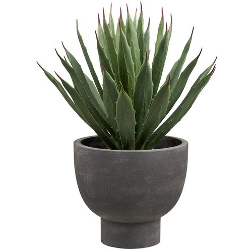 House Nordic Umjetna biljka (visina 41 cm) Agave &amp;ndash; Slike