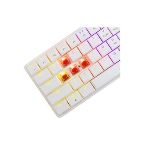 White Shark gk 006211 nagamaki white - red mehanicka - us Slike