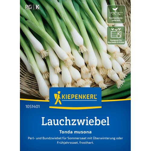 KIEPENKERL Mlada čebula "Tonda Musona" - 1 pkt. Cene