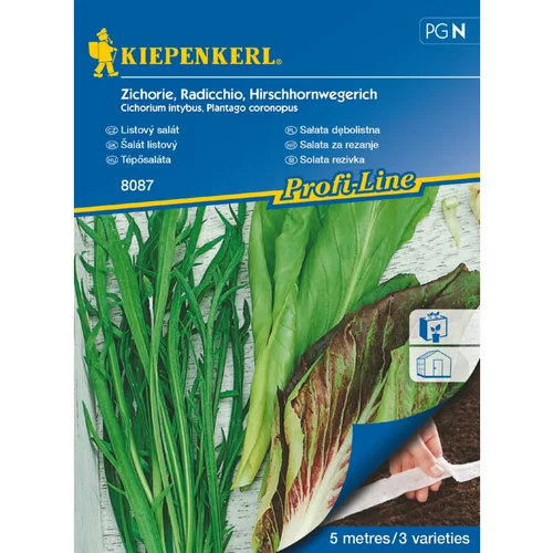 KIEPENKERL Solata rezivka Kiepenkerl (Cichorium intybus, Plantago coronopus)