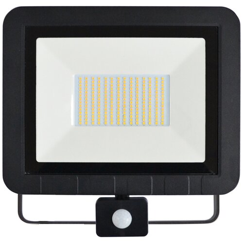 Asalite LED reflektor s senzorjem 100W 6500K, 8000Lm ASAL0136 Cene