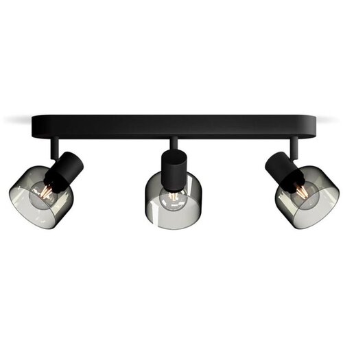 Philips Spot svetiljka SLEET 3xE14/25W/230V Cene