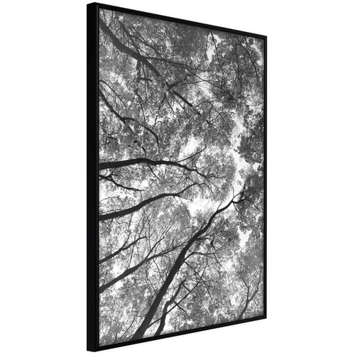  Poster - Lying on the Grass 20x30 Cijene