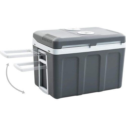 VidaXL Prenosna termoelektrična hladilna torba 40 L 12 V 230 V E Slike