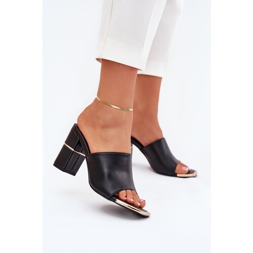 Boto Elegant women's sandals on a heel black Raiza Cene