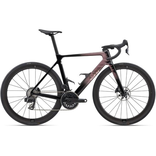  Bicikl LIV EnviLiv Advanced Pro 0-AXS Iron Rouge - M Slike