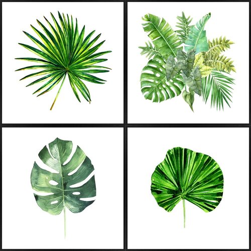 Knor Plakati v kompletu 4 kos 30x30 cm Monstera Slike