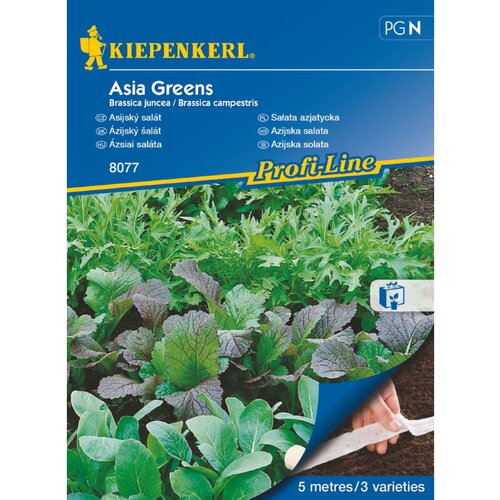 KIEPENKERL Sjeme salate Asia Greens (Brassica juncea/Brassica campestris, Berba: Svibanj - Listopad) Cijene