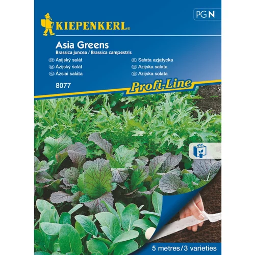 KIEPENKERL Sjeme salate Asia Greens (Brassica juncea/Brassica campestris, Berba: Svibanj - Listopad)