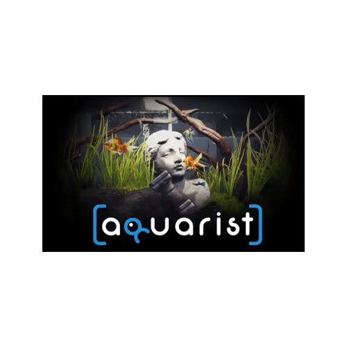 Steam Aquarist (PC) Key GLOBAL Cene