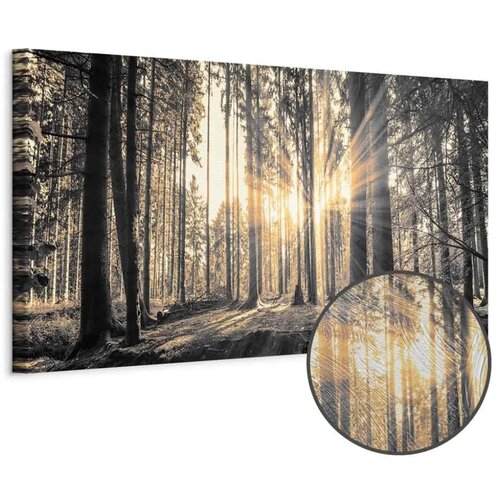  Slika - Forest Sun 150x50 Premium Print Cijene
