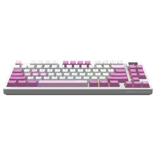MSI FORGE GK600 TKL W VIOLET US wireless tastatura Cene