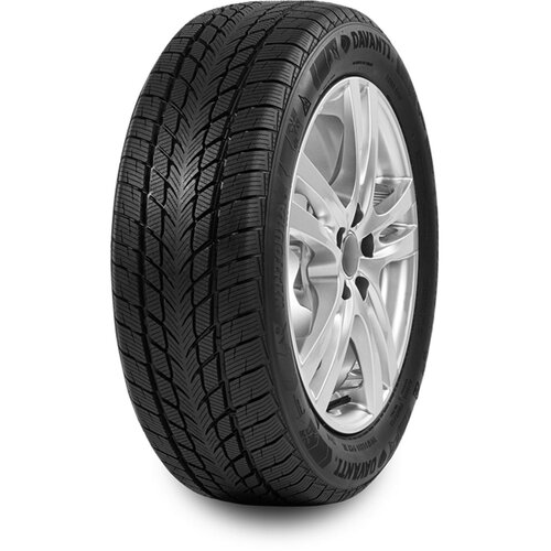 Davanti 195/55R15 89H wintoura zimska auto guma Slike