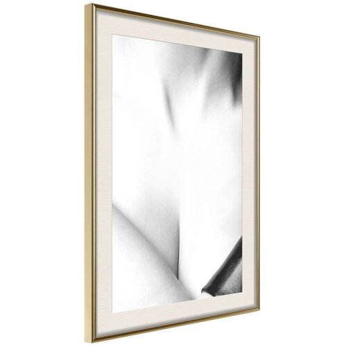  Poster - Charm 30x45 Slike