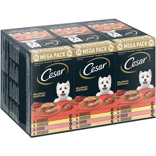 Cesar Mega pakiranje u zdjelicama 24 x 150 g - Classic Terrine