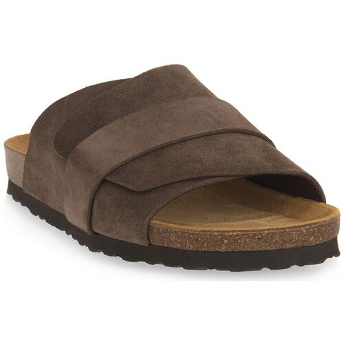 Frau Natikači SUEDE MORO Kostanjeva Cene