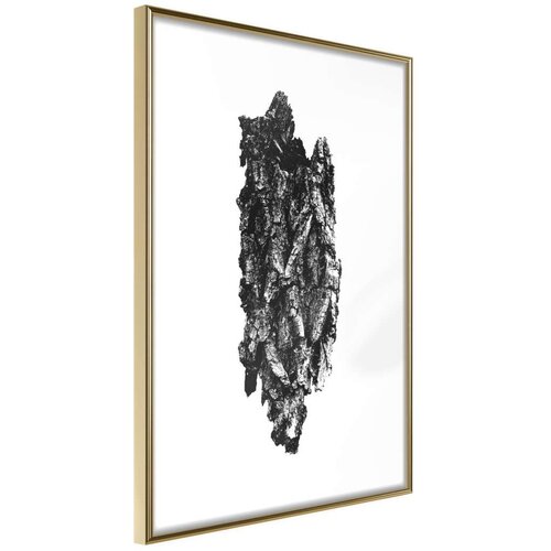  Poster - Texture of a Tree 30x45 Cijene