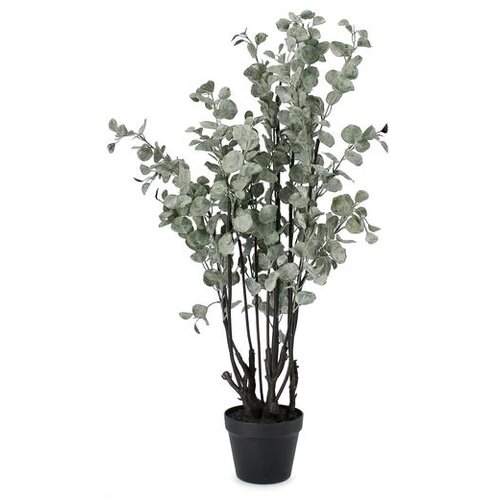  BILJKA EUKALIPTUS 110CM ZELENA Slike