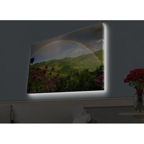 Wallity Zidna slika sa LED osvetljenjem 4570HDACT-094, 45x70 cm Cene