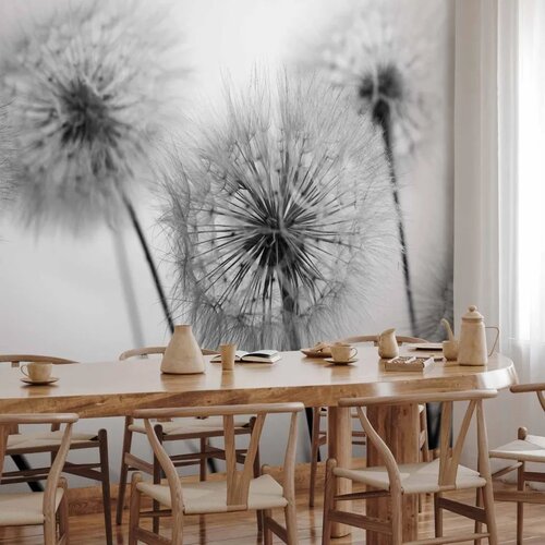  Foto tapeta - Time for Dandelions - Second Variant 200x140 Slike