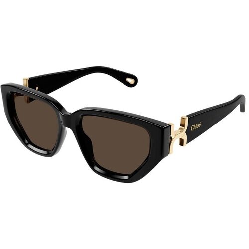 Chloe CH0235S 001 - ONE SIZE (55) Slike