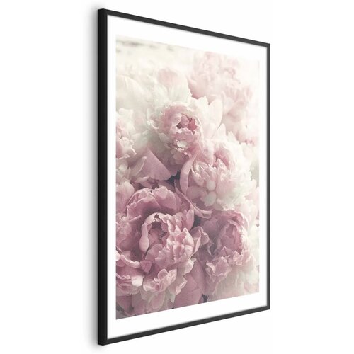  Plakat Delicate Peonies 21x30 Cijene