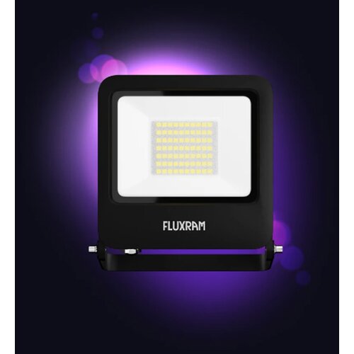 Fluxram wise led reflektor 50W 6000K IP65 (546891) Cene