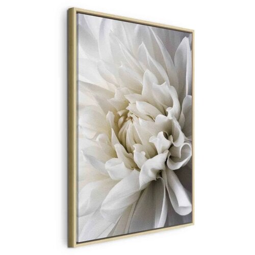  Slika - White Dahlia 80x120 Cene