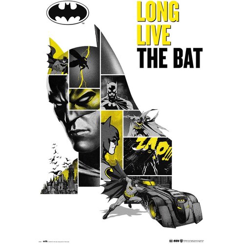 DC Comics PLAKAT BATMAN 80 OBLETNICA, (20837412) Cene