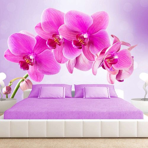  Tapeta - Thoughtfulness 300x210 Cijene