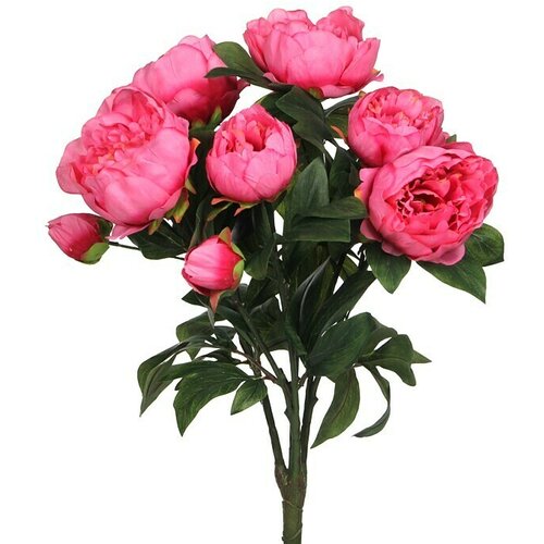  Umjetna biljka Božur (Visina: 55 cm, Roze boje, Plastika) Cijene
