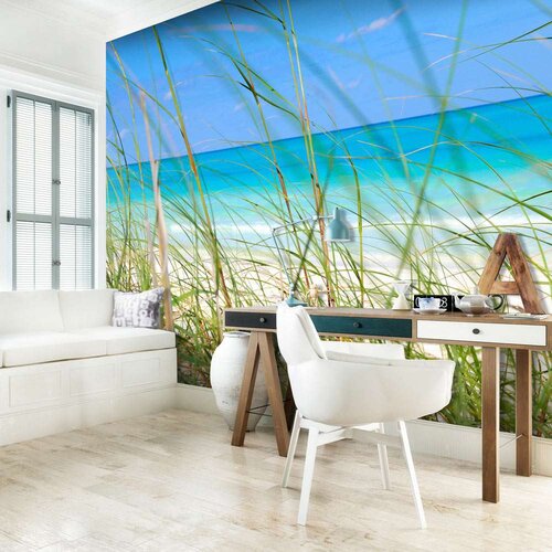  Tapeta - Tropical journey 400x309 Slike