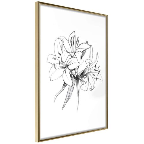  Poster - Sketch of Lillies 30x45 Slike