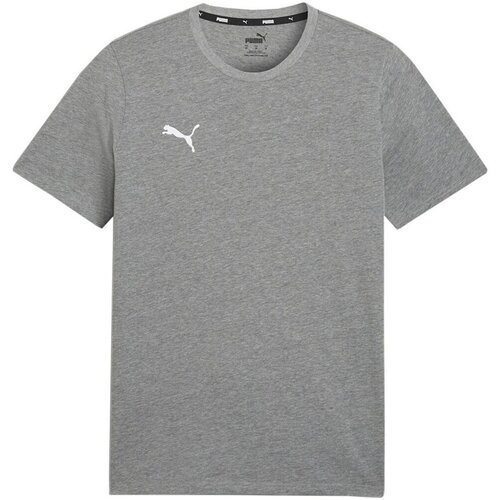 Puma Team Goal Casuals Siva Cijene