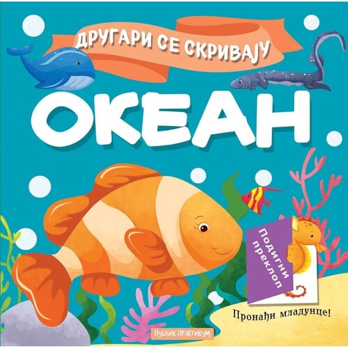 Publik Praktikum Drugari se skrivaju - Okean Slike