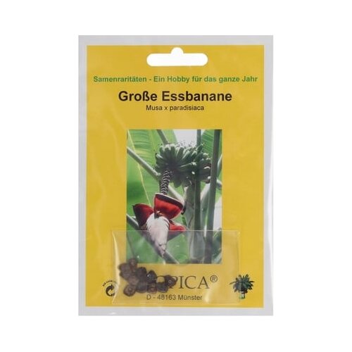 TROPICA Velika banana Slike