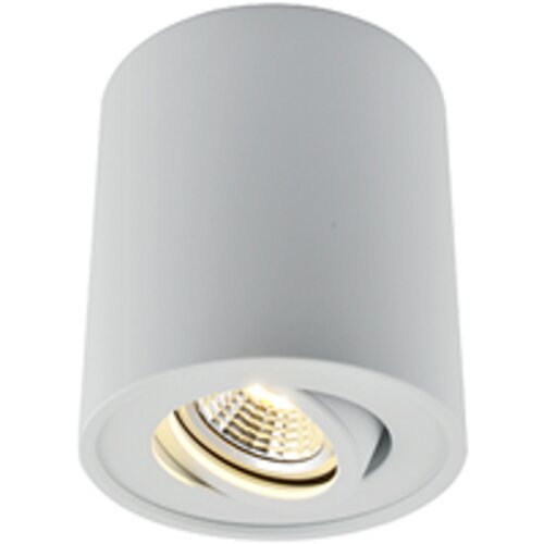 Greentech Stropni reflektor (30 W, Bela, GU10, Ø x V: 9 x 10 cm) Cene