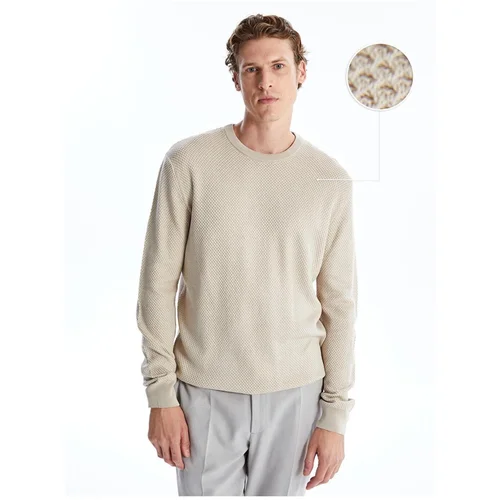 LC Waikiki Crew Neck Long Sleeve Men's Knitwear Sweater