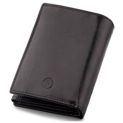 Peterson PTN33901211BL51080 Crna Cene