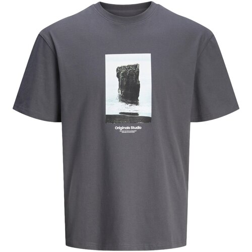 Jack & Jones Muška majica 12250421, Siva Cene