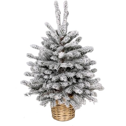  Novogodisnja jelka u saksiji bela 60cm 250308 Slike