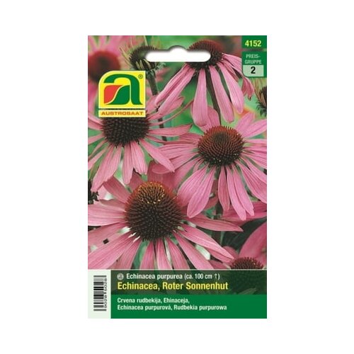 AUSTROSAAT Echinacea &amp;quot;purpurea&amp;quot; me&amp;scaron;anica Slike