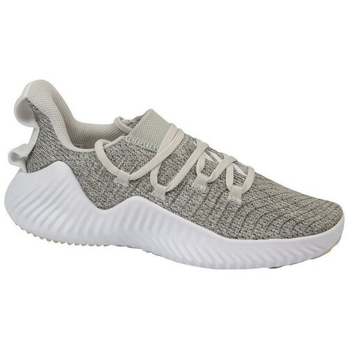 Adidas Nizke superge Alphabounce Trainer Siva Cene
