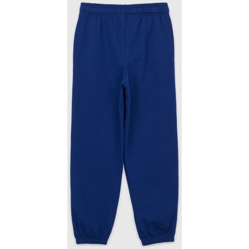 GAP Children's sweatpants Logo - Boys Cijene