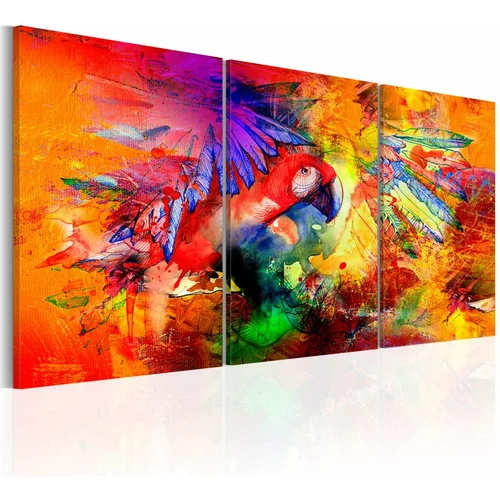  Slika - Colourful Parrot 120x60