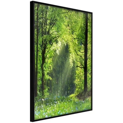  Poster - Forest Path 40x60